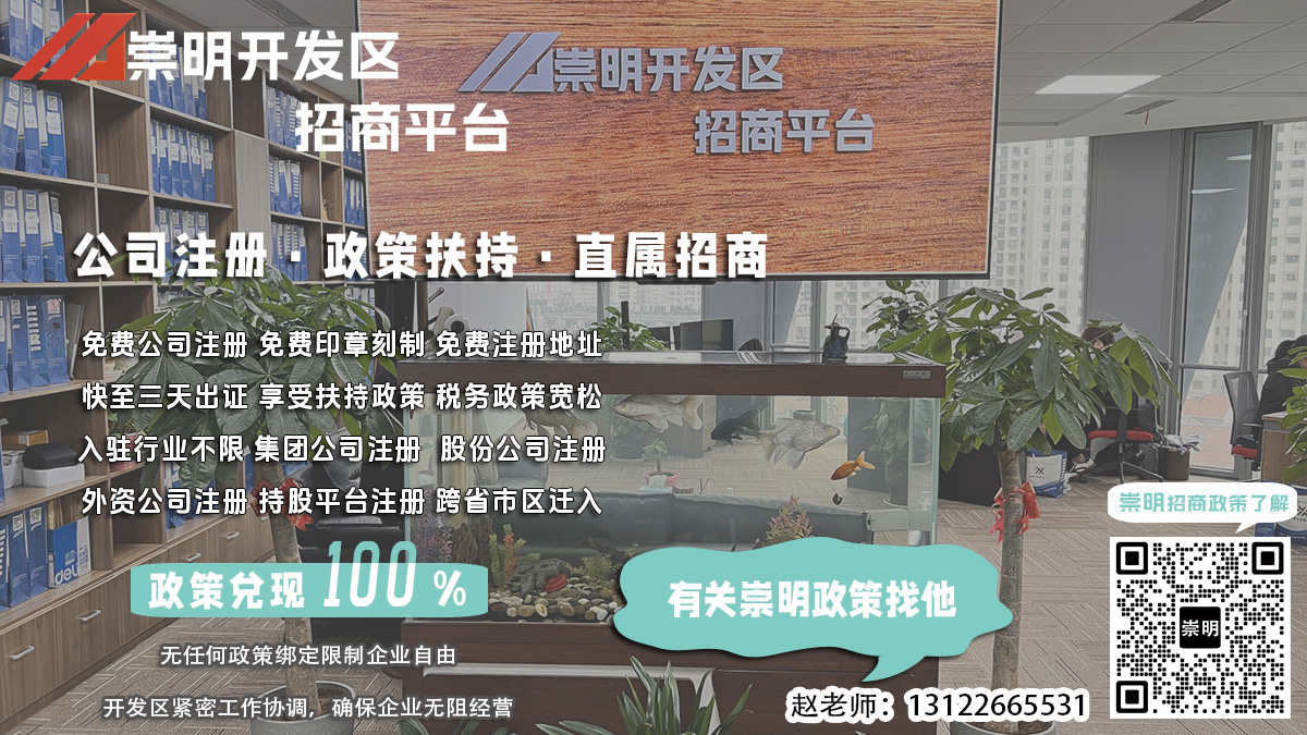 崇明数码影像处理公司核名后如何进行后续审批？